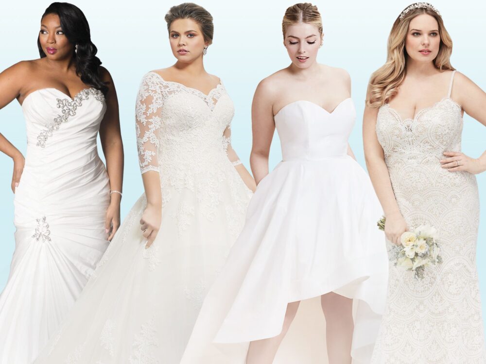 curvy ladies clothing