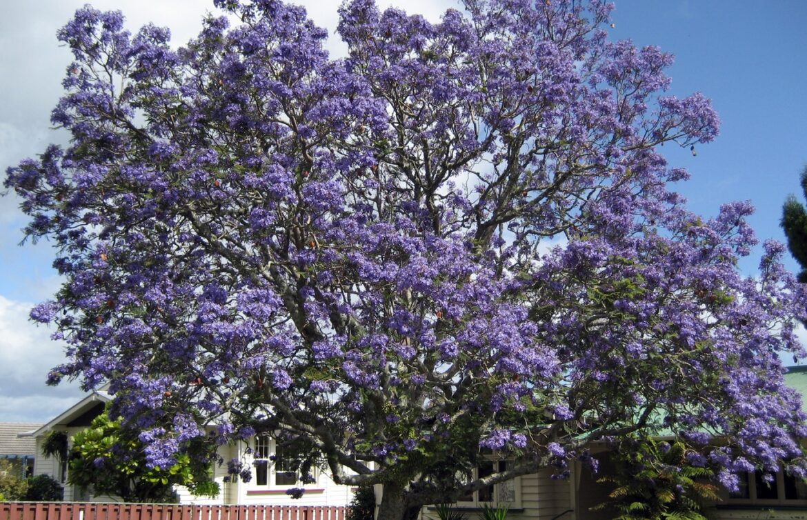 8 Most Popular Flowers in Los Angeles Royal Wedding