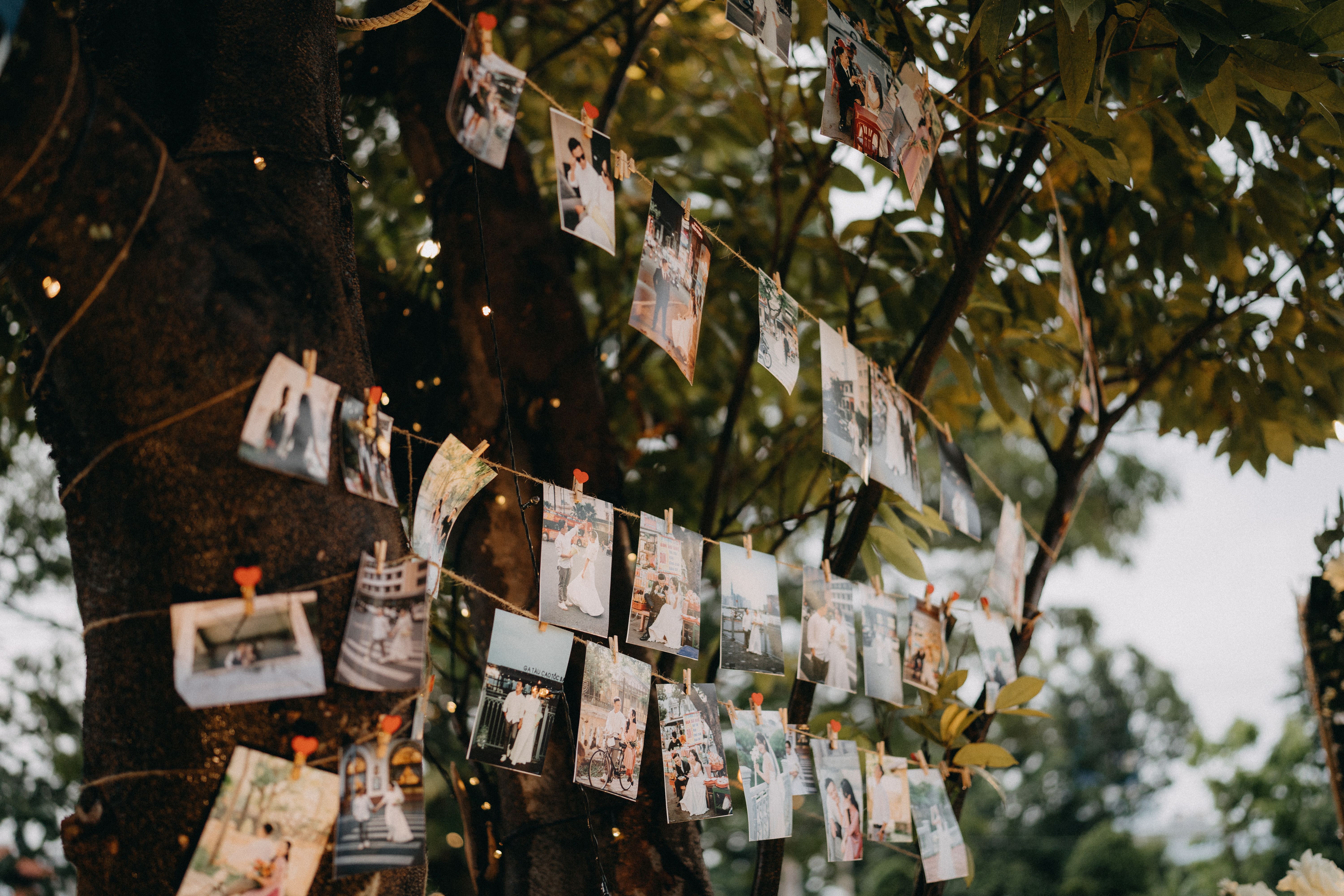 A string of personal photographs displayed on a garden tree, an easy wedding memory-wall decoration.